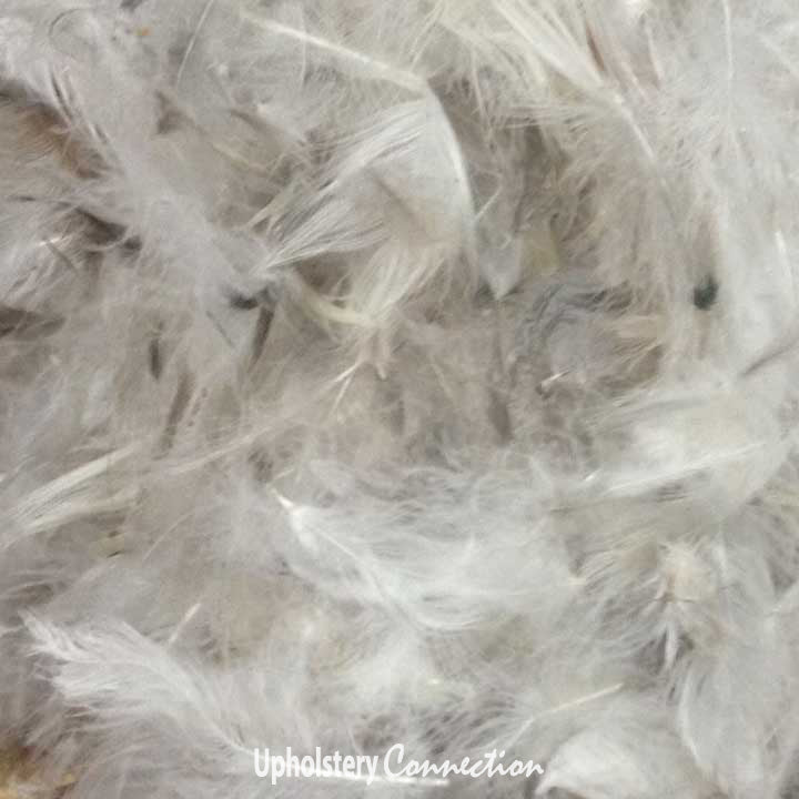 Buy down outlet feathers